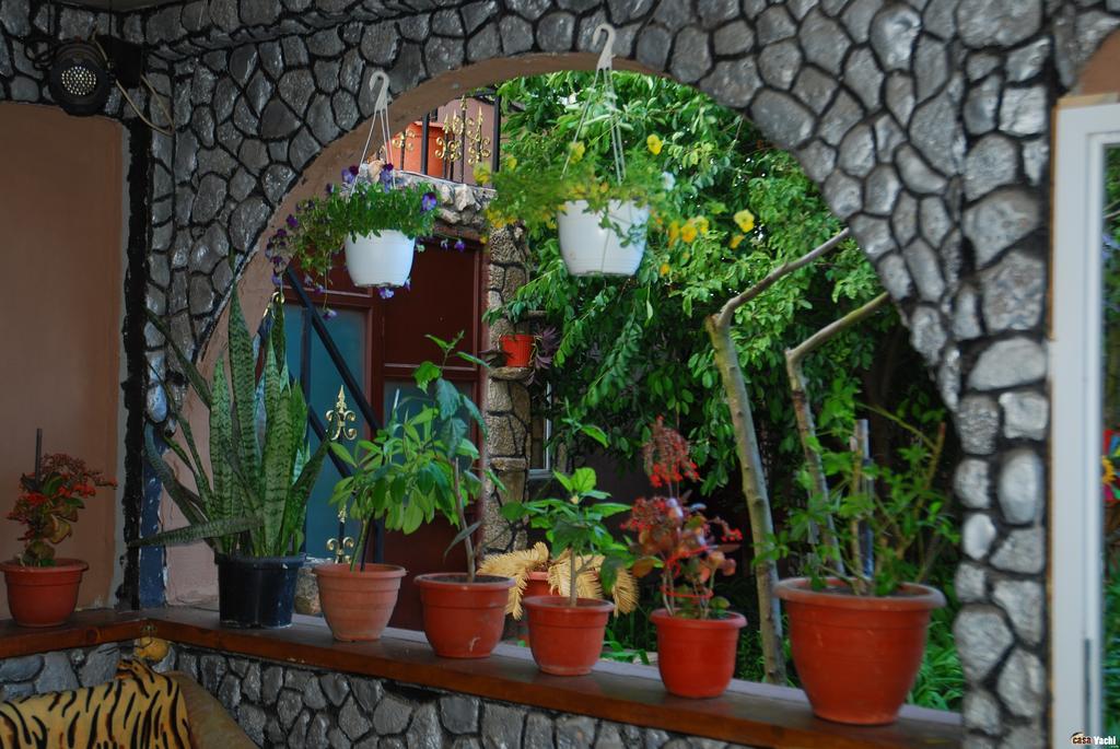 Hotel Casa Yachi Vama Veche Esterno foto